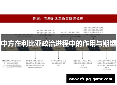 中方在利比亚政治进程中的作用与期望