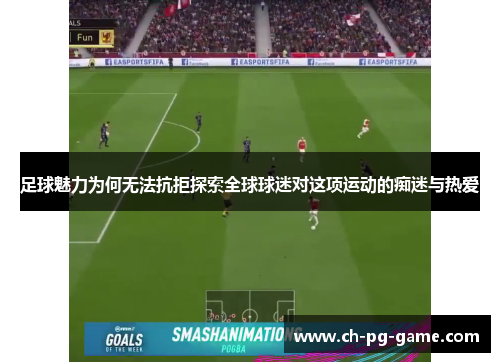 足球魅力为何无法抗拒探索全球球迷对这项运动的痴迷与热爱