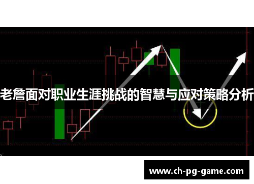 老詹面对职业生涯挑战的智慧与应对策略分析