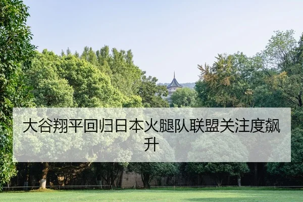 da-gu-xiang-ping-hui-gui-ri-ben-huo-tui-dui-lian-meng-guan-zhu-du-biao-sheng-2-254.jpg