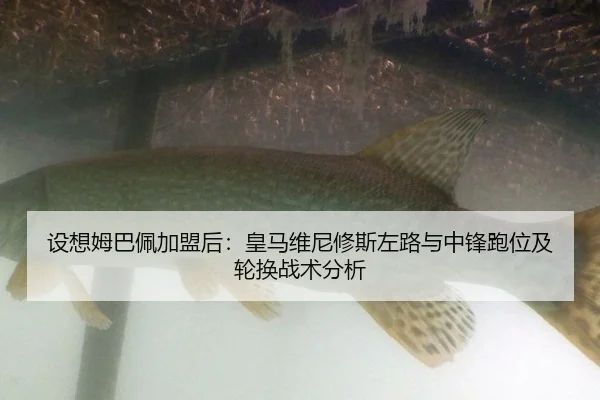 she-xiang-mu-ba-pei-jia-meng-hou-huang-ma-wei-ni-xiu-si-zuo-lu-yu-zhong-feng-pao-wei-ji-lun-huan-zhan-shu-fen-xi-2-422.jpg