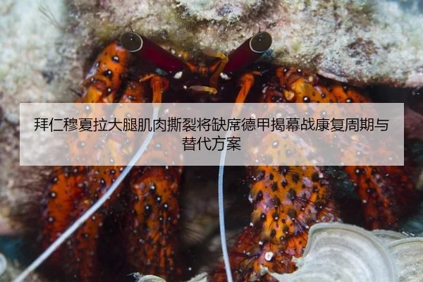 bai-ren-mu-xia-la-da-tui-ji-rou-si-lie-jiang-que-xi-de-jia-jie-mu-zhan-kang-fu-zhou-qi-yu-ti-dai-fang-an-3-968.jpg